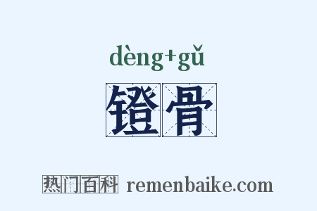 镫骨是什么意思的图片